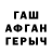 ГАШ Premium erkin koyot
