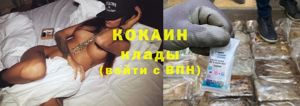 не бодяженный Бородино