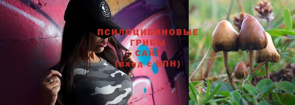 синтетический гашиш Белокуриха