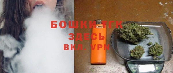 PSILOCYBIN Верея