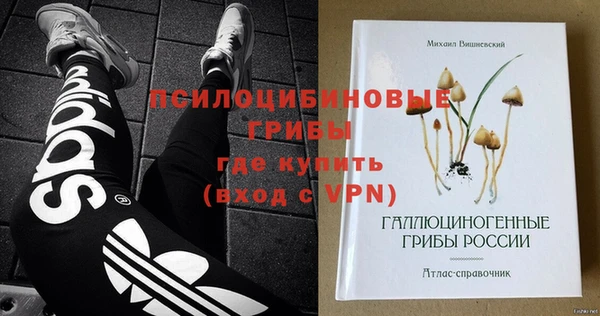 хмурый Строитель